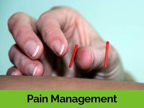 Pain+Management.jpg