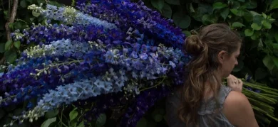 fleur-376.jpg