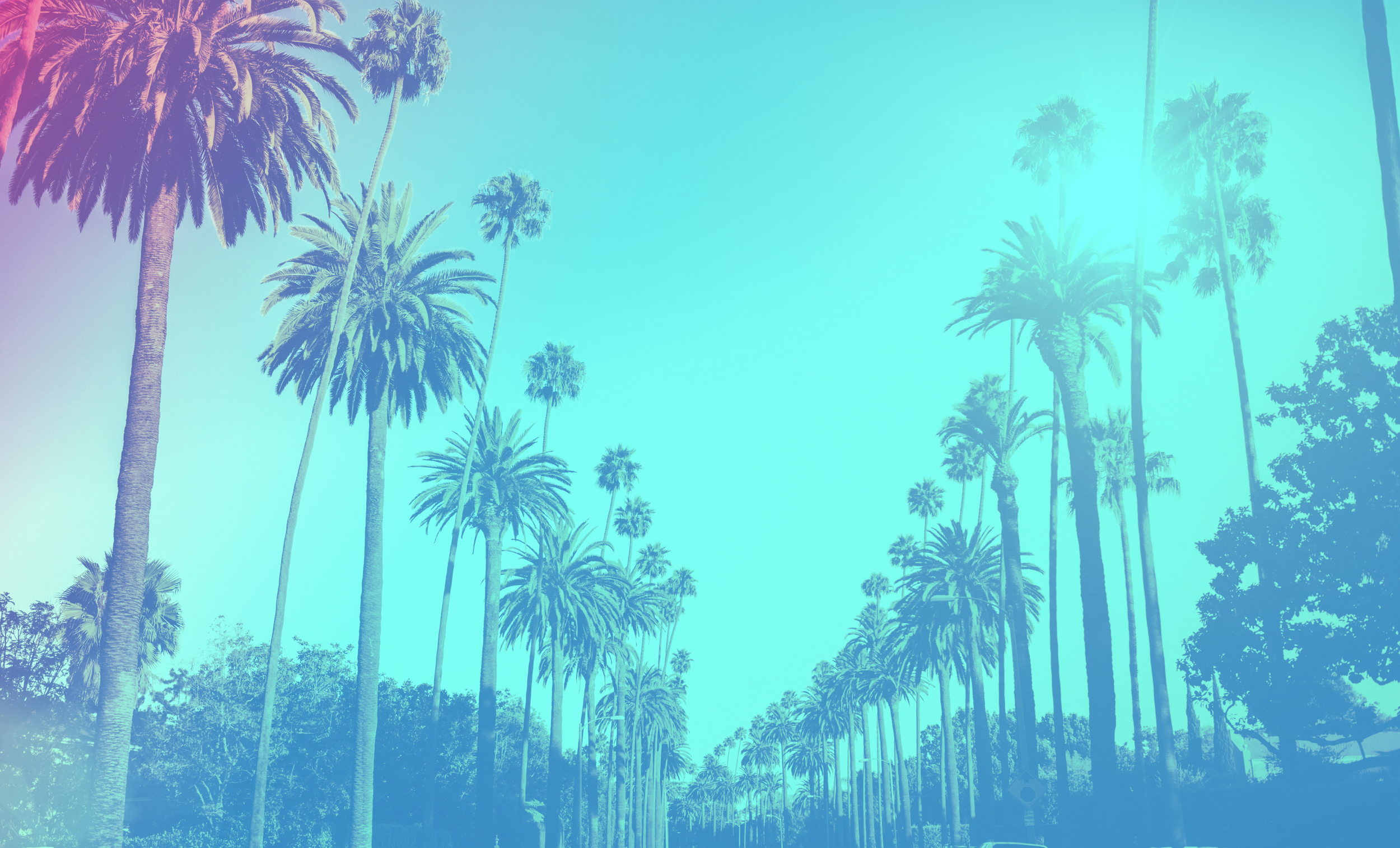 PalmTreest_lores_blue_2.jpg
