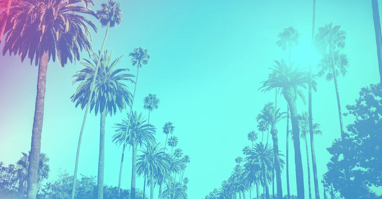 PalmTreest_lores_blue_web.jpg