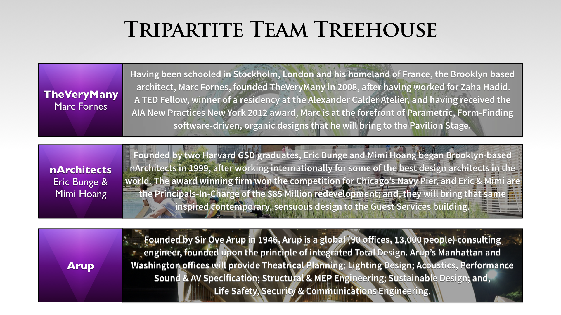 Treehouse Amphitheater Desing Team Selection copy.024.png