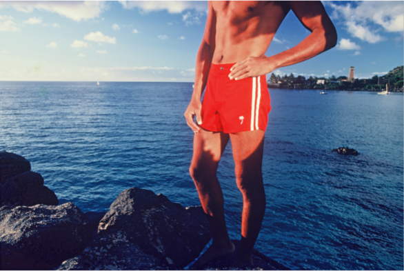 Local Motion board shorts in the late 1970's