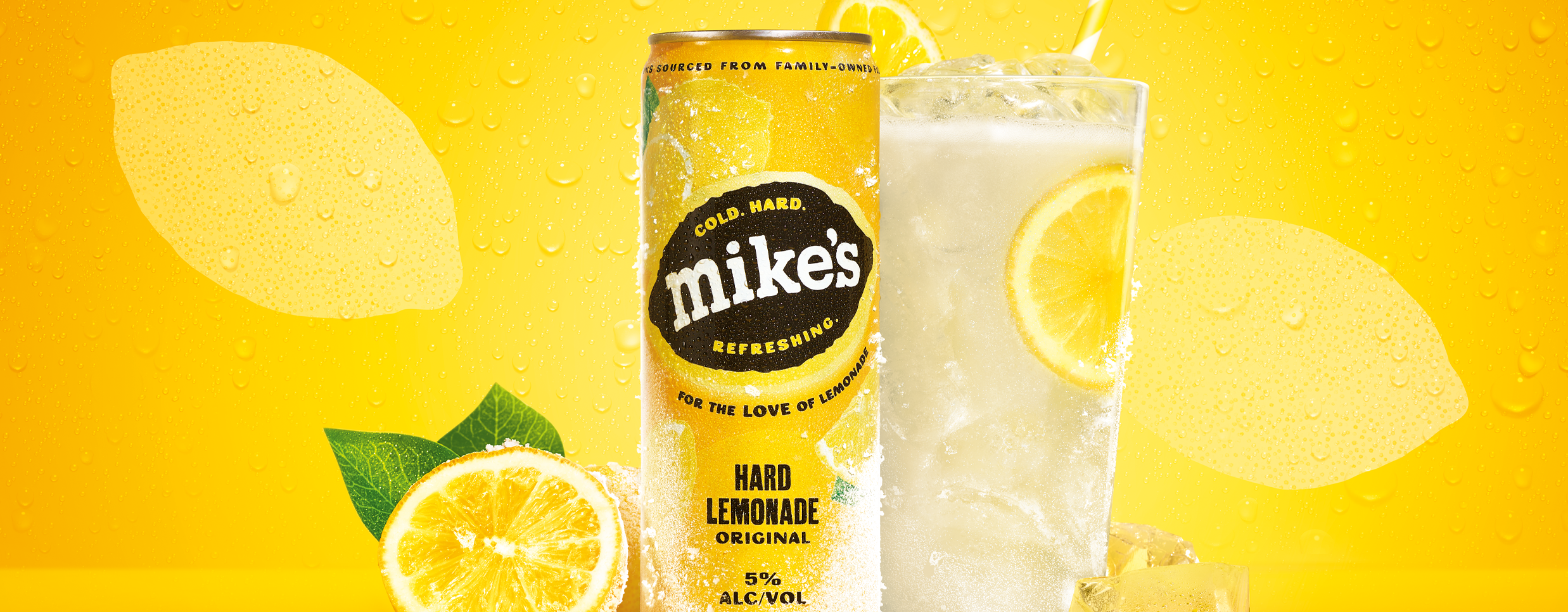 Mikes_header.png