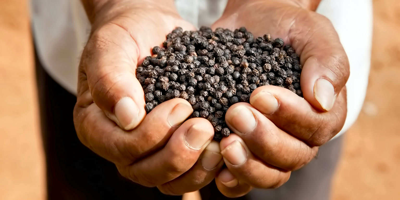 Hands showing pepper web.jpg