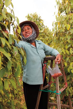 Pepper from Cambodia’s Kampot region was once world renowned, but the industry almost disappeared under the Khmer Rouge. Now, a new initiative is spicing up the region's growers. Tom Vater reports