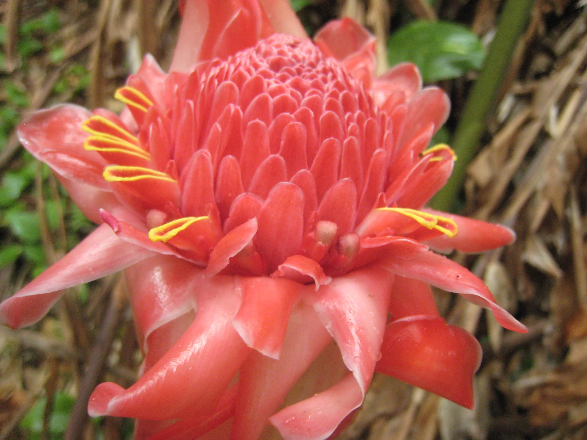 Nurture Yourself Toward Change