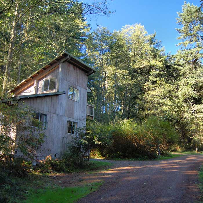 Rustic Cabin