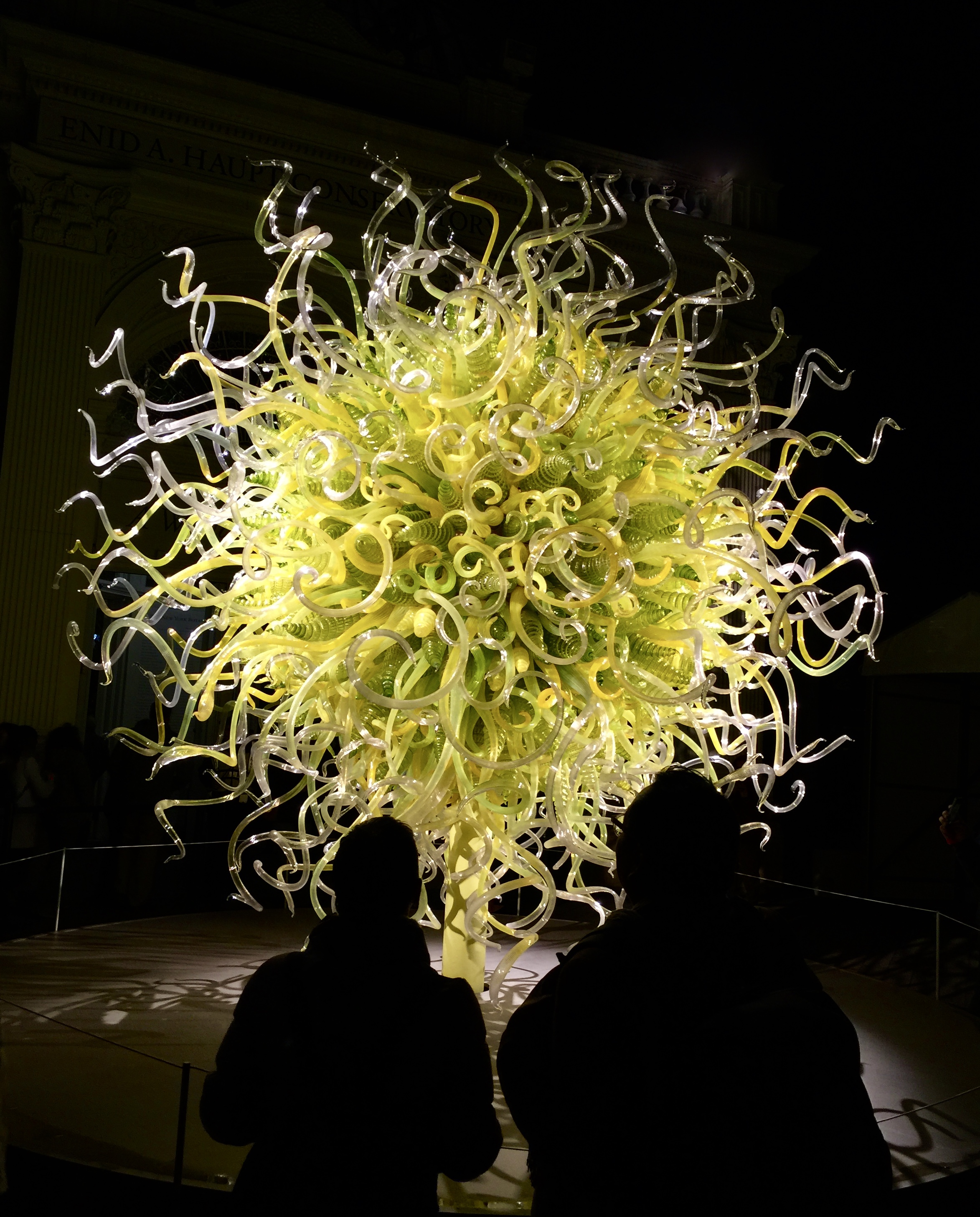 Sharing the passion for color at the Chihuly Nights installation at the New York Botanical Gardens. 