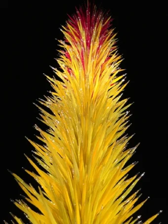 Vibrant transitions from a bumblebee yellow body to a stop-light red top at the Chihuly Gardens of Color Installation, NYBG, October 2017.