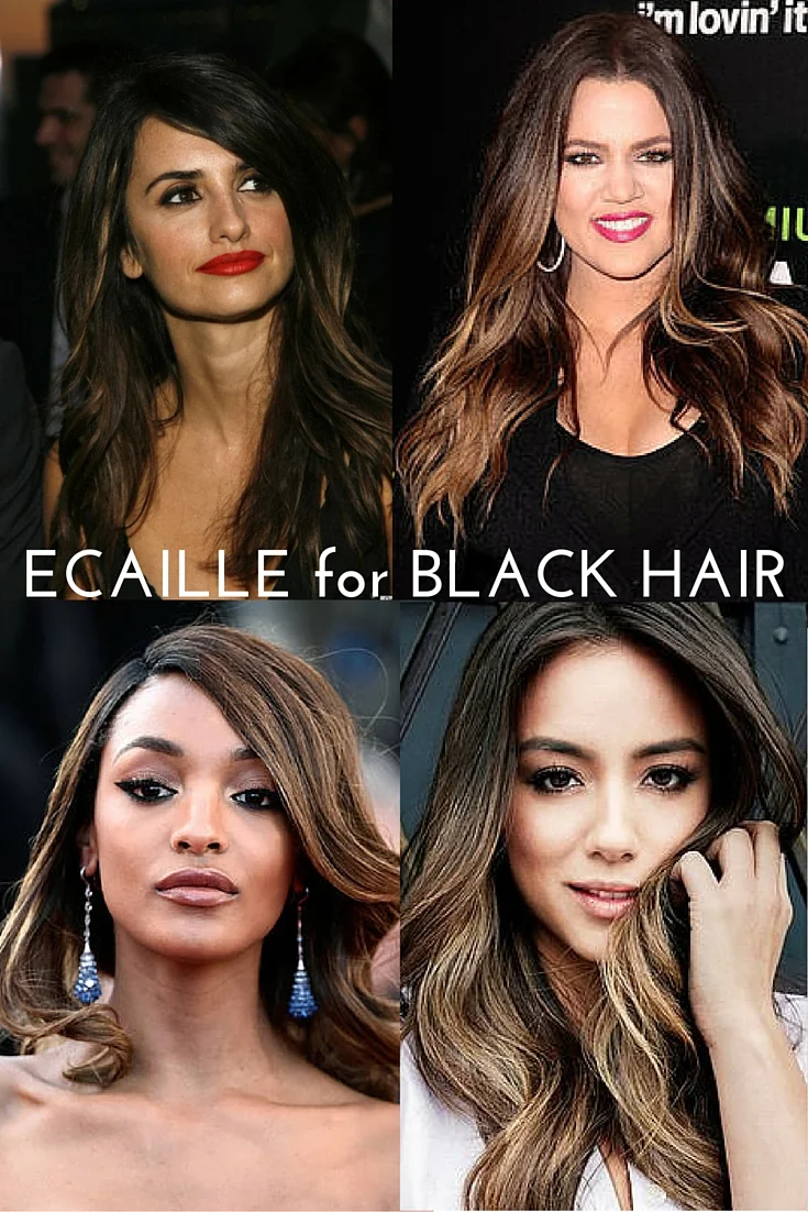 Ecaille for Black Hair.jpg