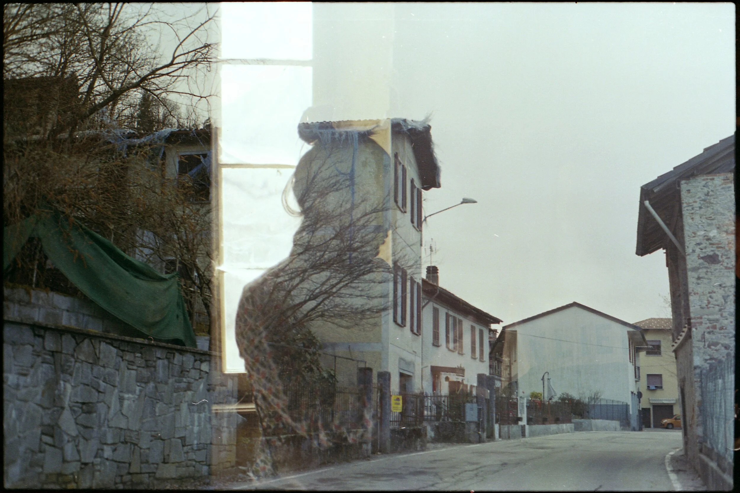 190329_002_09.jpeg
