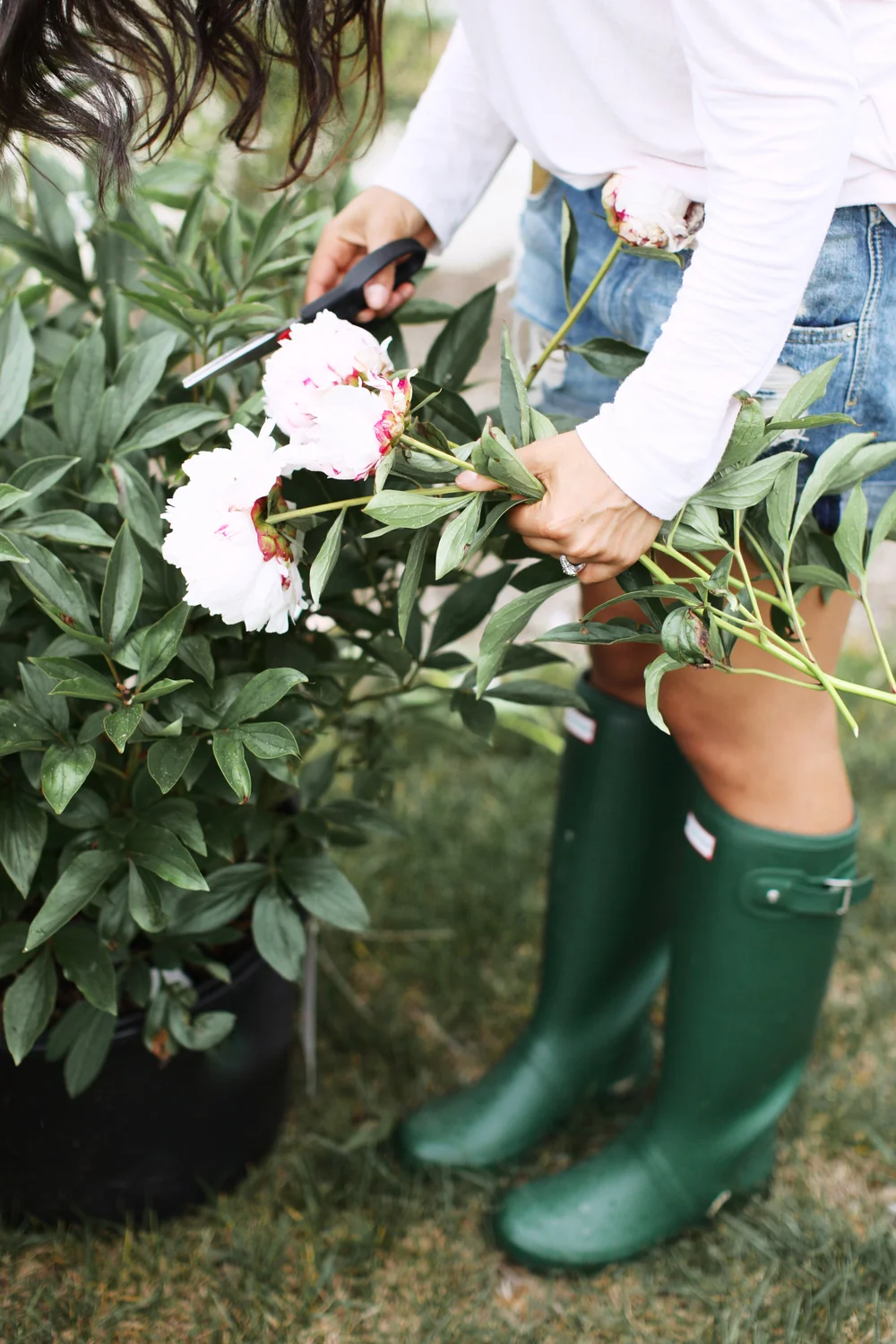 MR. & MRS. GREENTHUMB