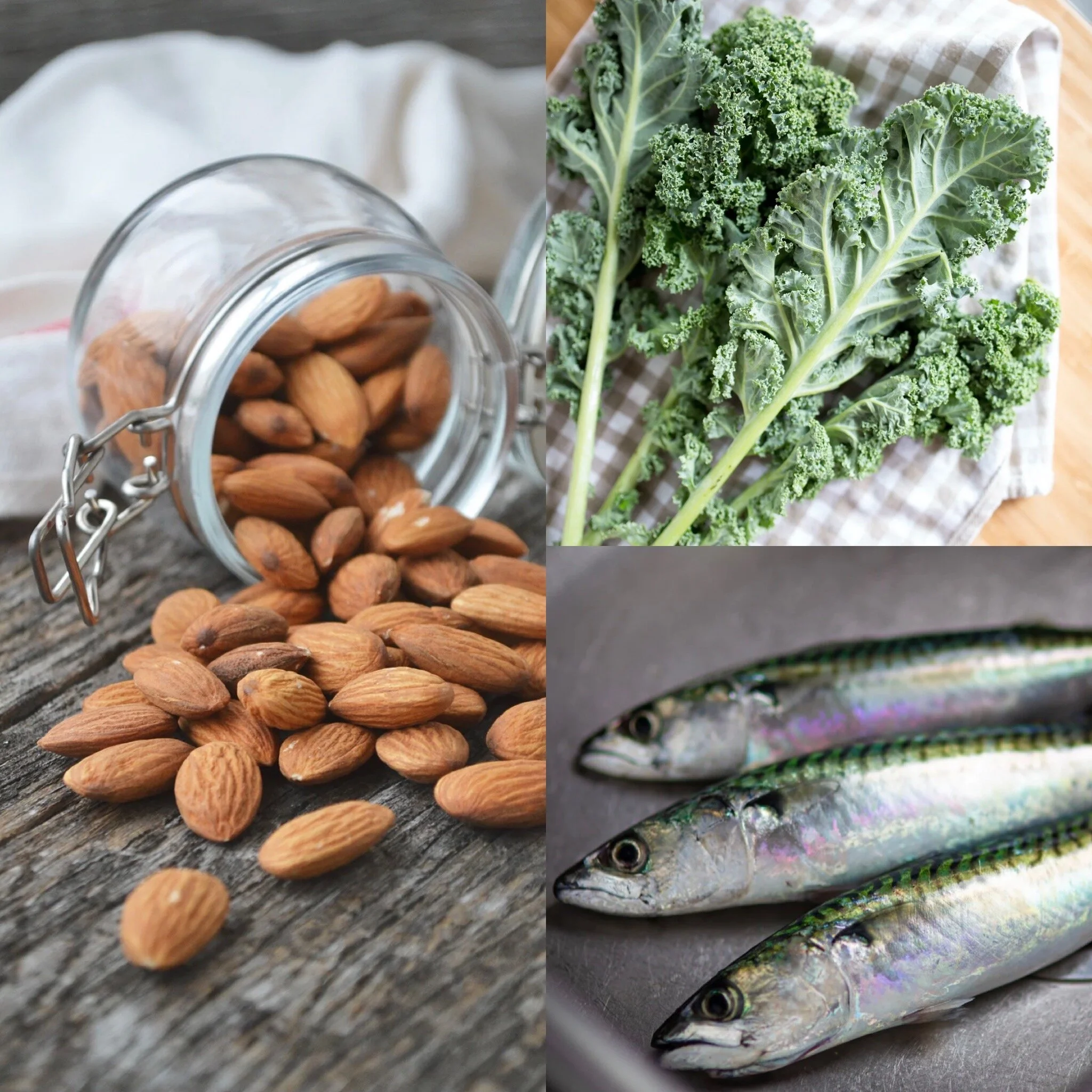 10 NonDairy Sources of Calcium — Lean and Green Body Naples, FL