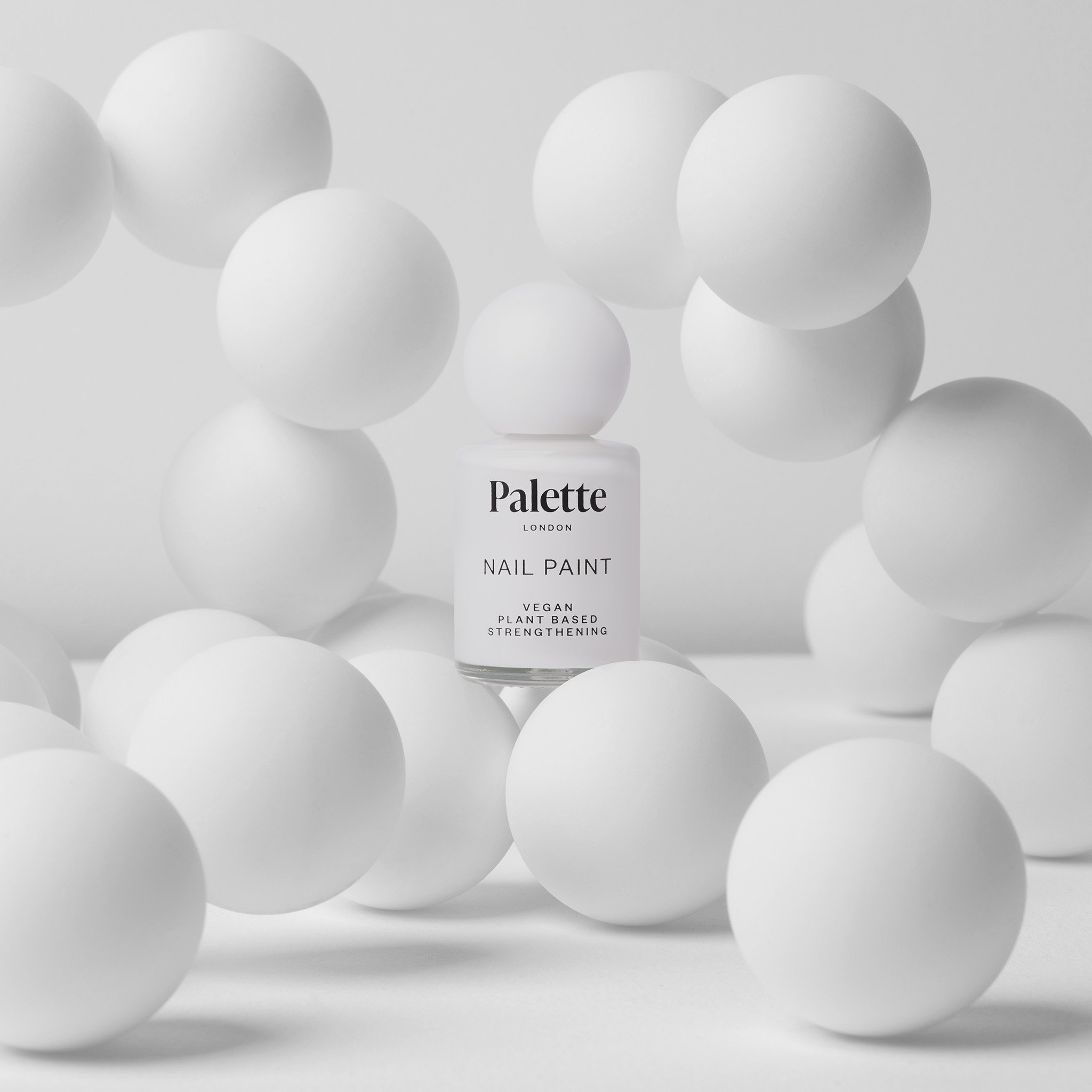 Palette on White.jpg