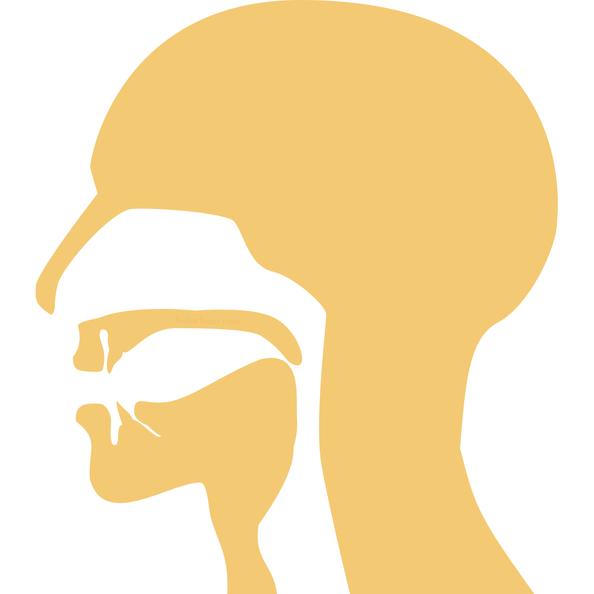 Velar Mouth Position
