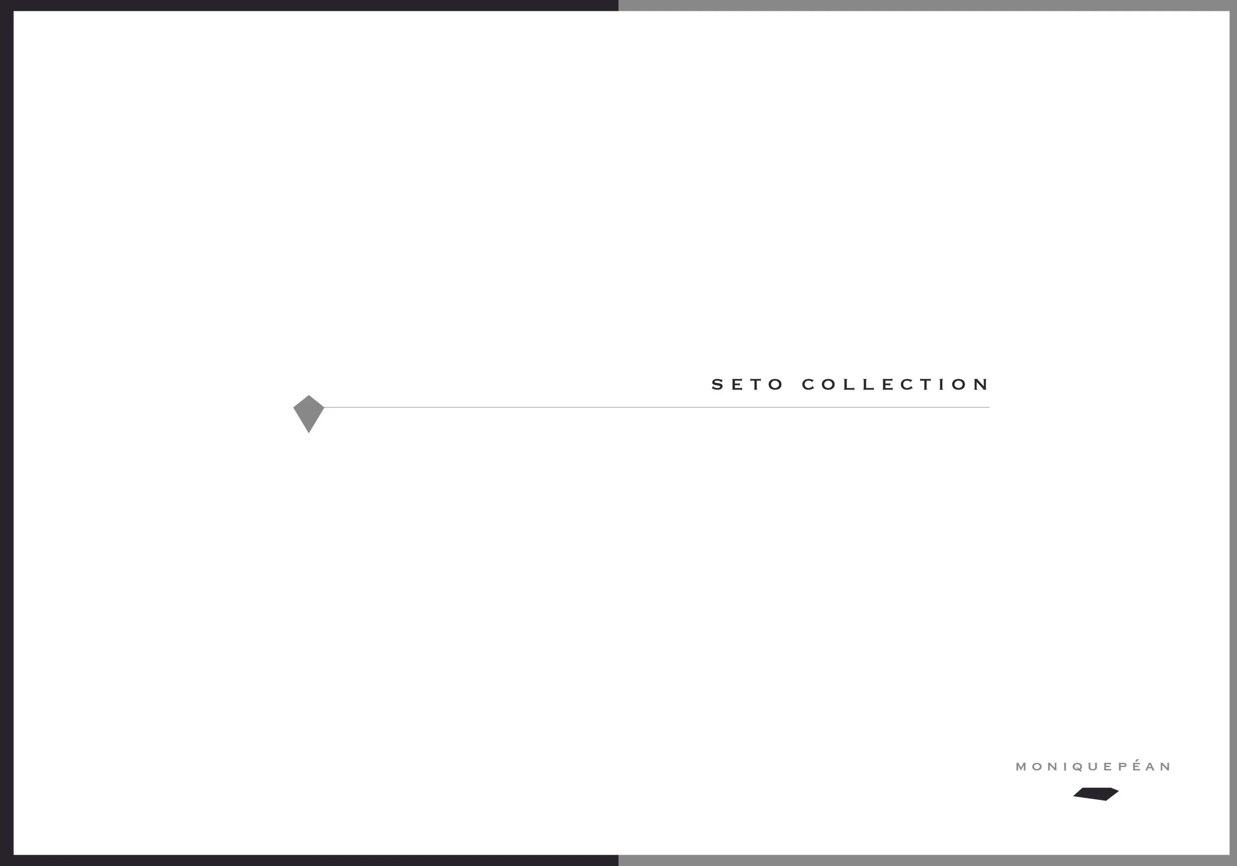 Monique Pean_Look Book Concept.jpg