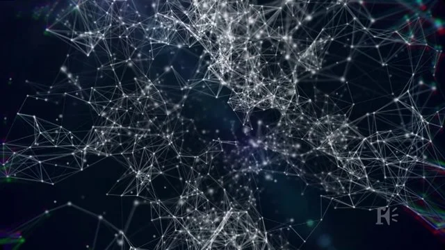 We Steal Secrets | Design Cut