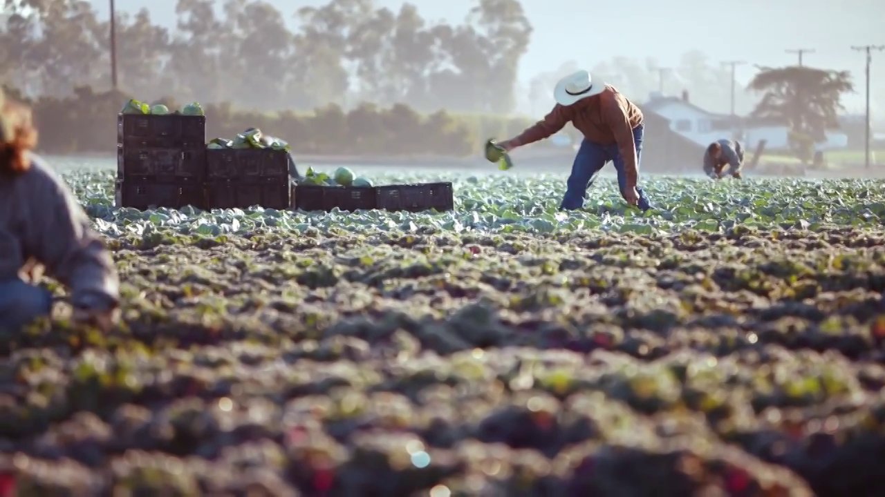 Meijer Locally Grown