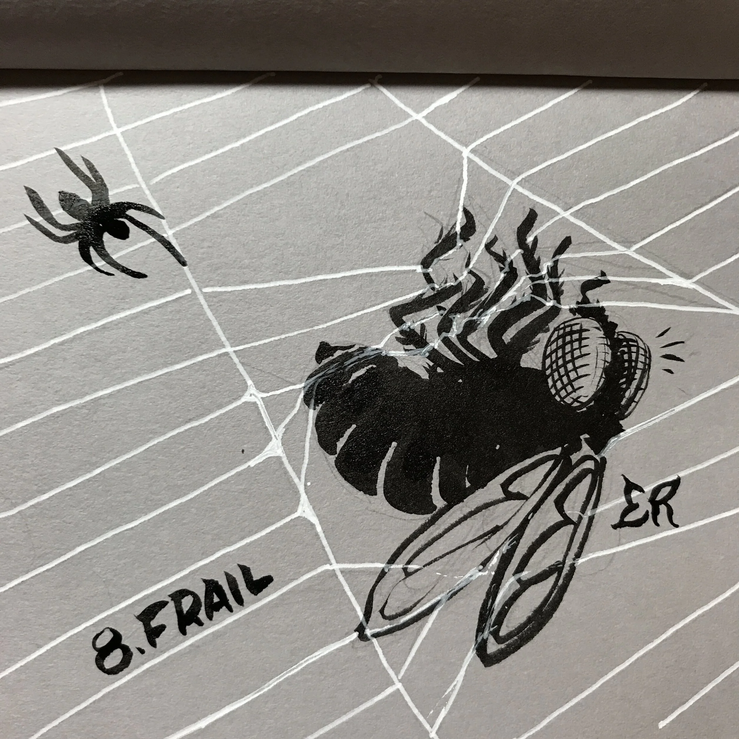 8frail.jpeg
