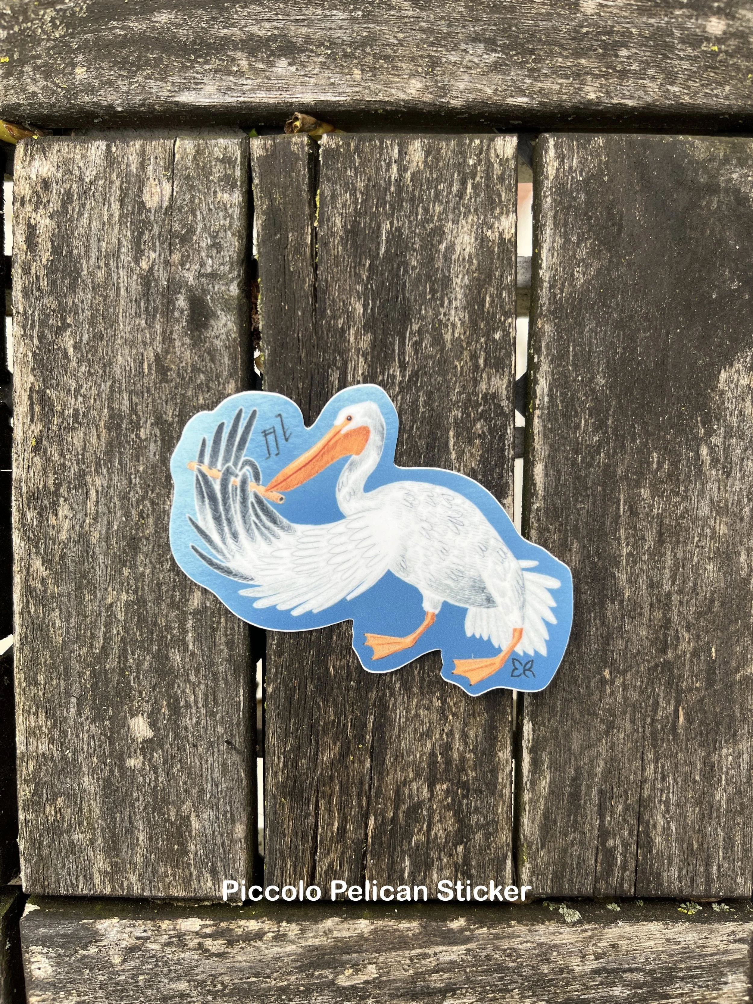 Piccolo_Pelican.JPG