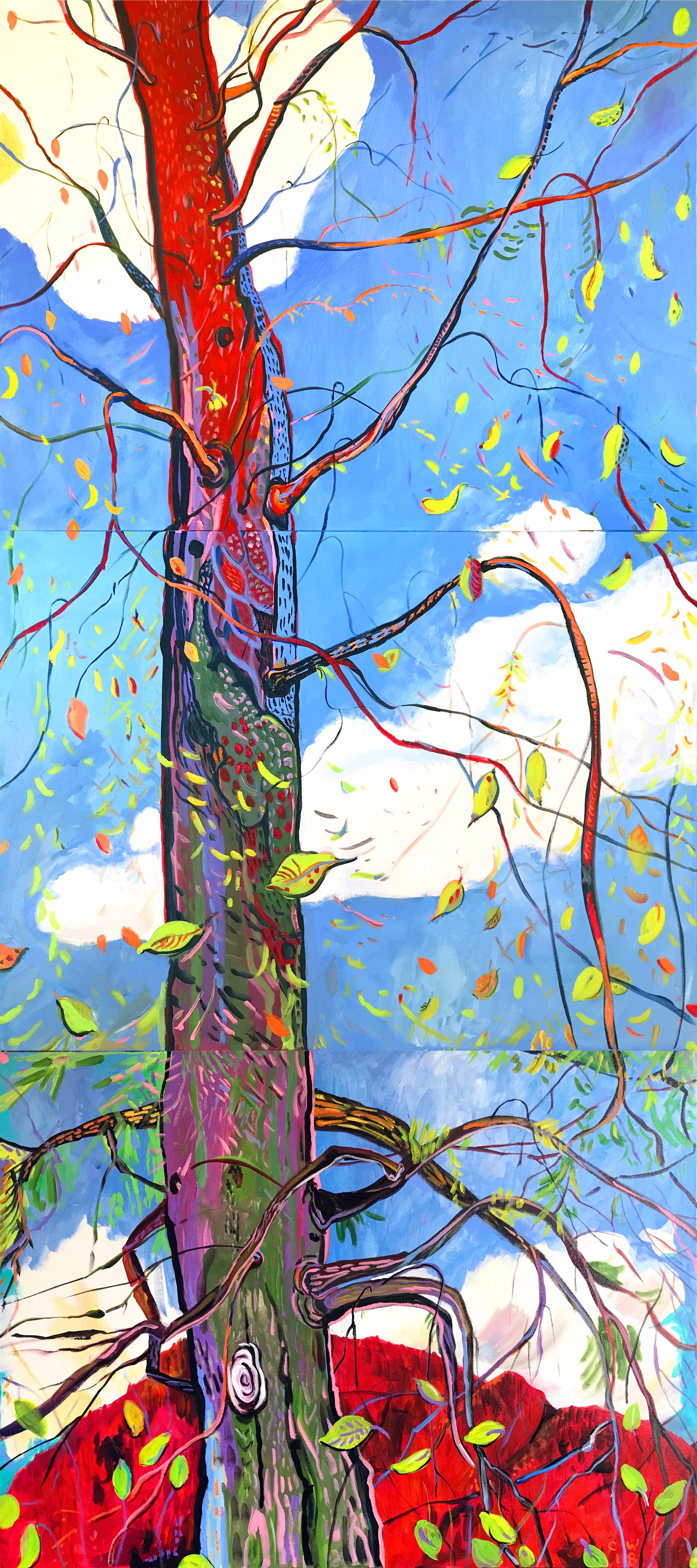Cypress and the Red Mountain