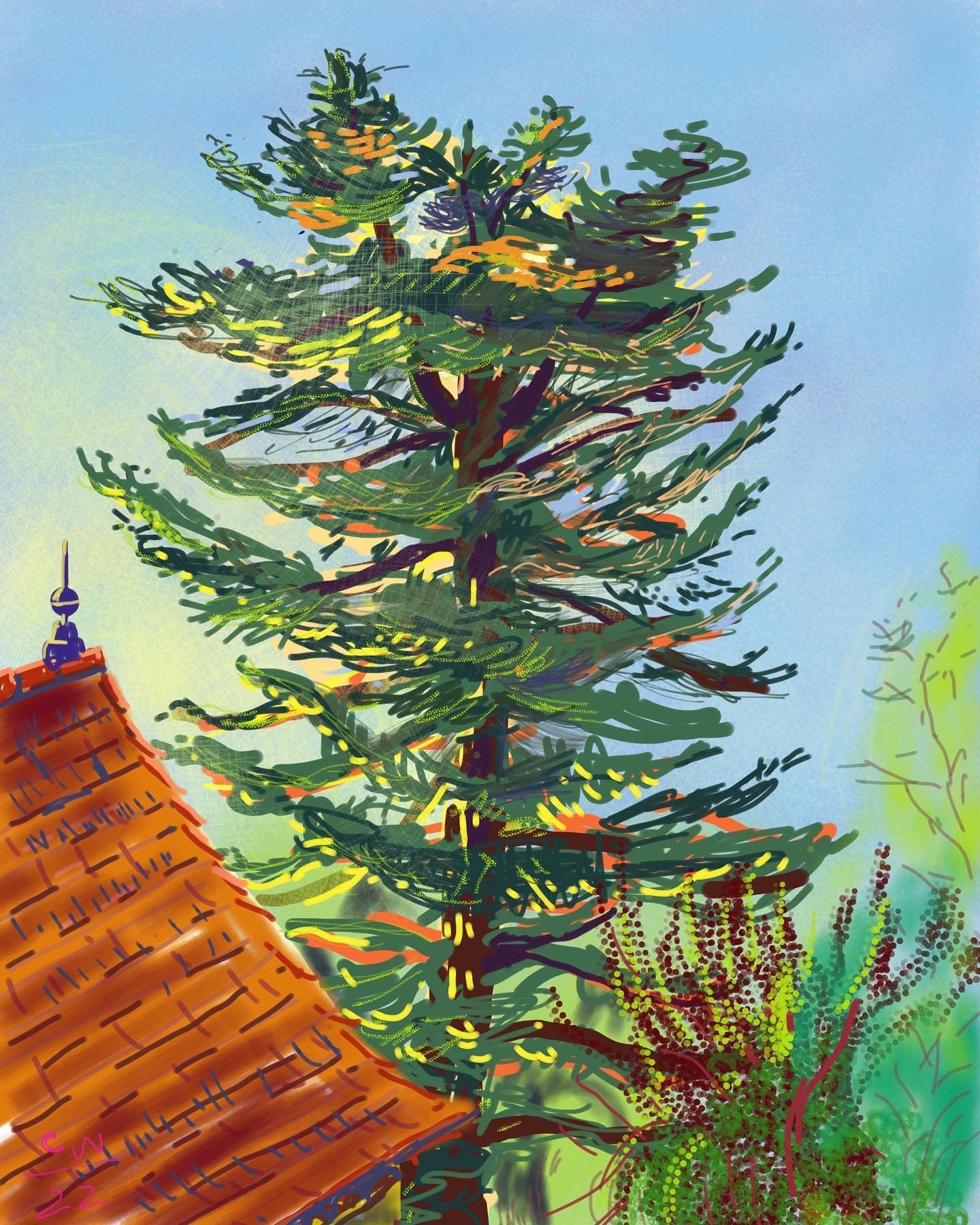 Pine Tree Labastide-Murat France