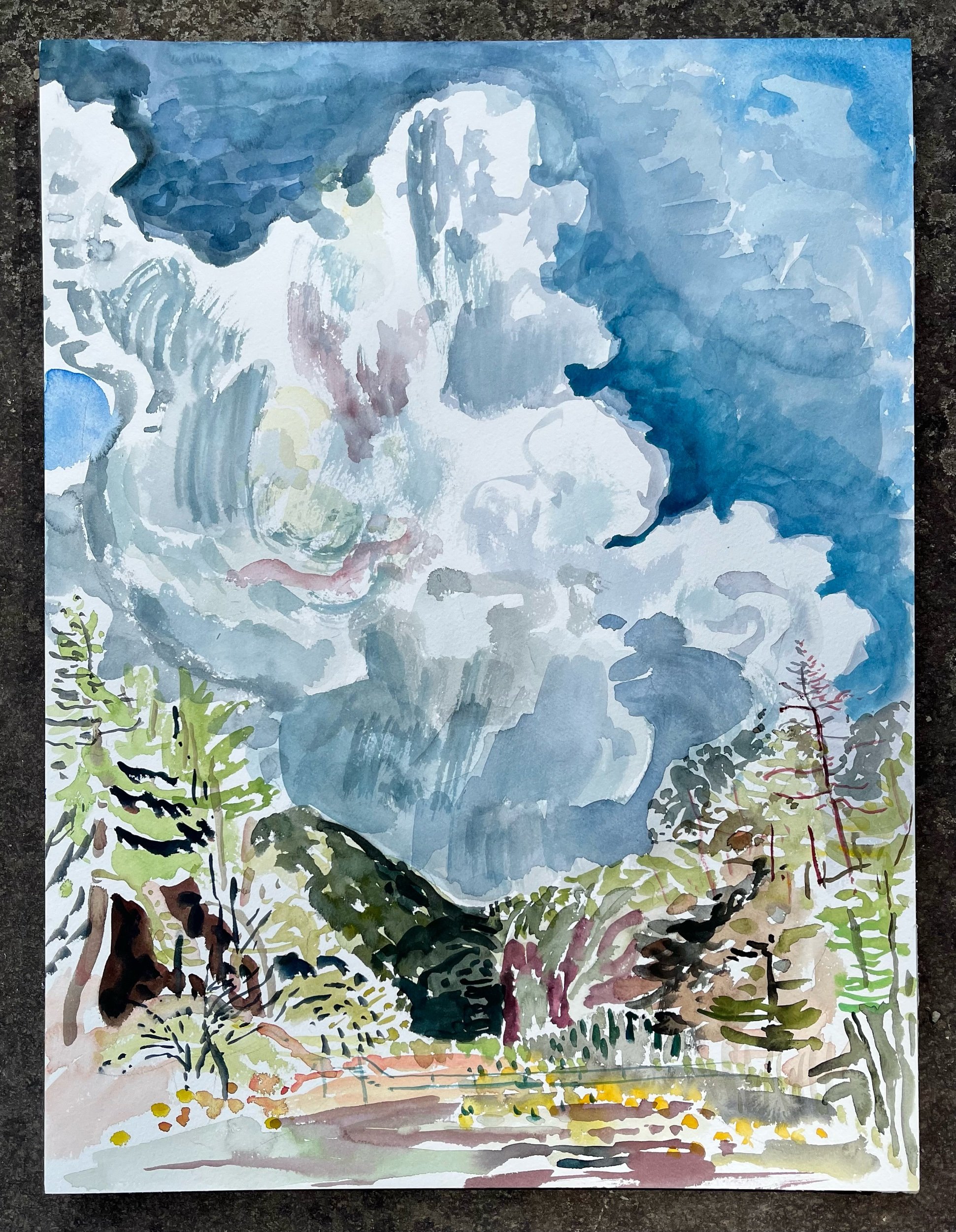 Thunderclap - Innisfree Garden -