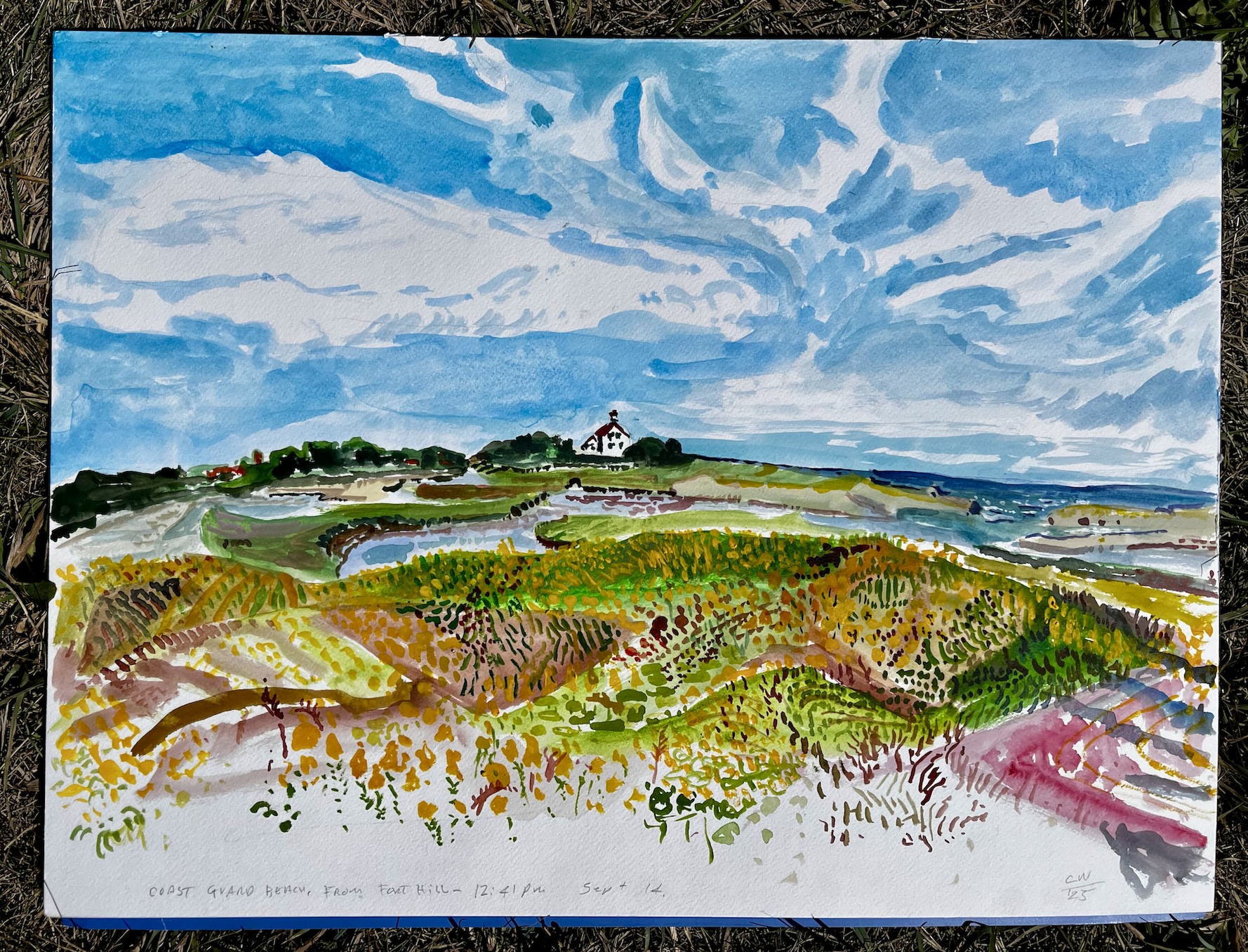 Golden Rods at Fort Hill, Cape Cod Sept 12, 2025