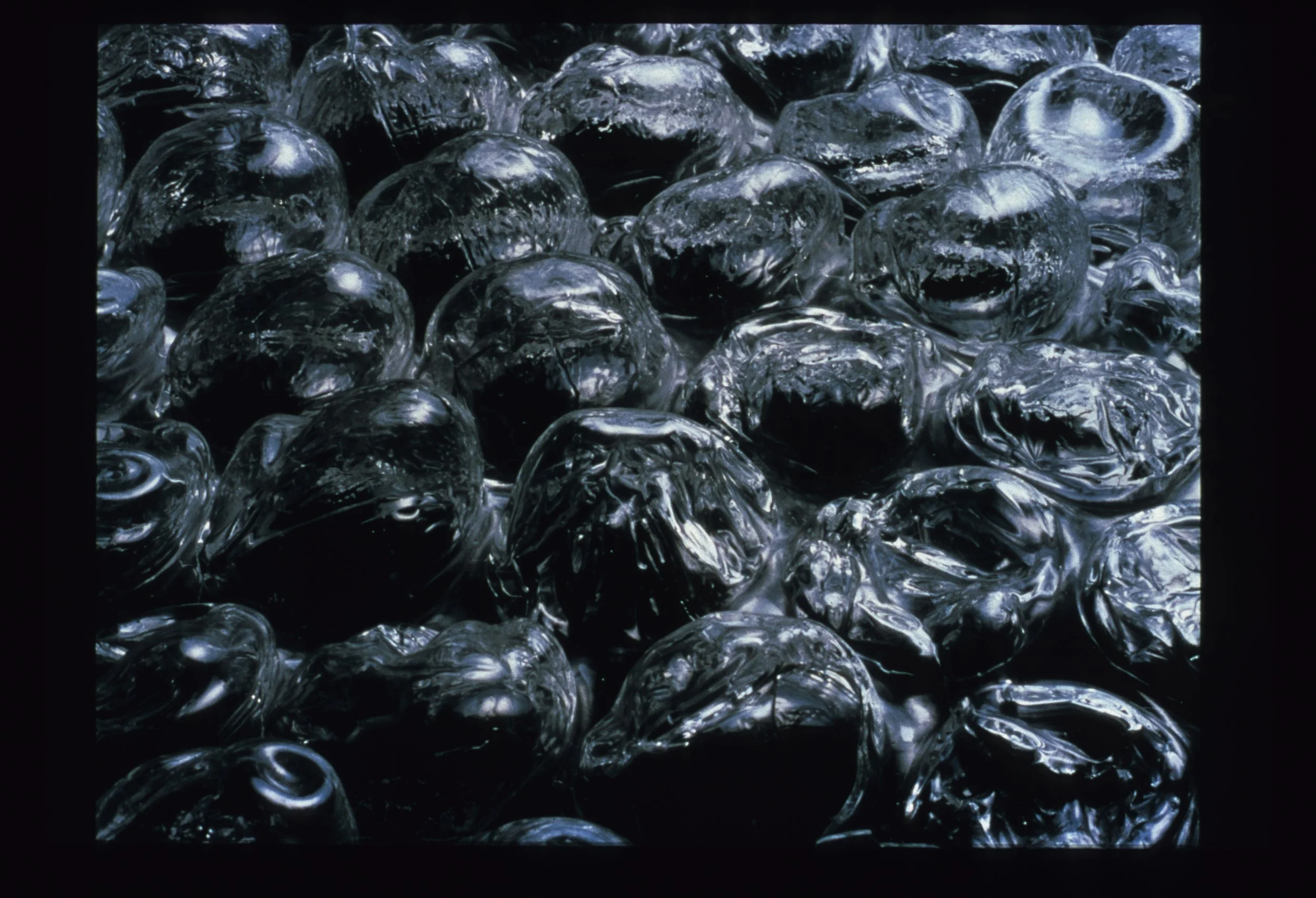 bubble wrap detail copy.jpg