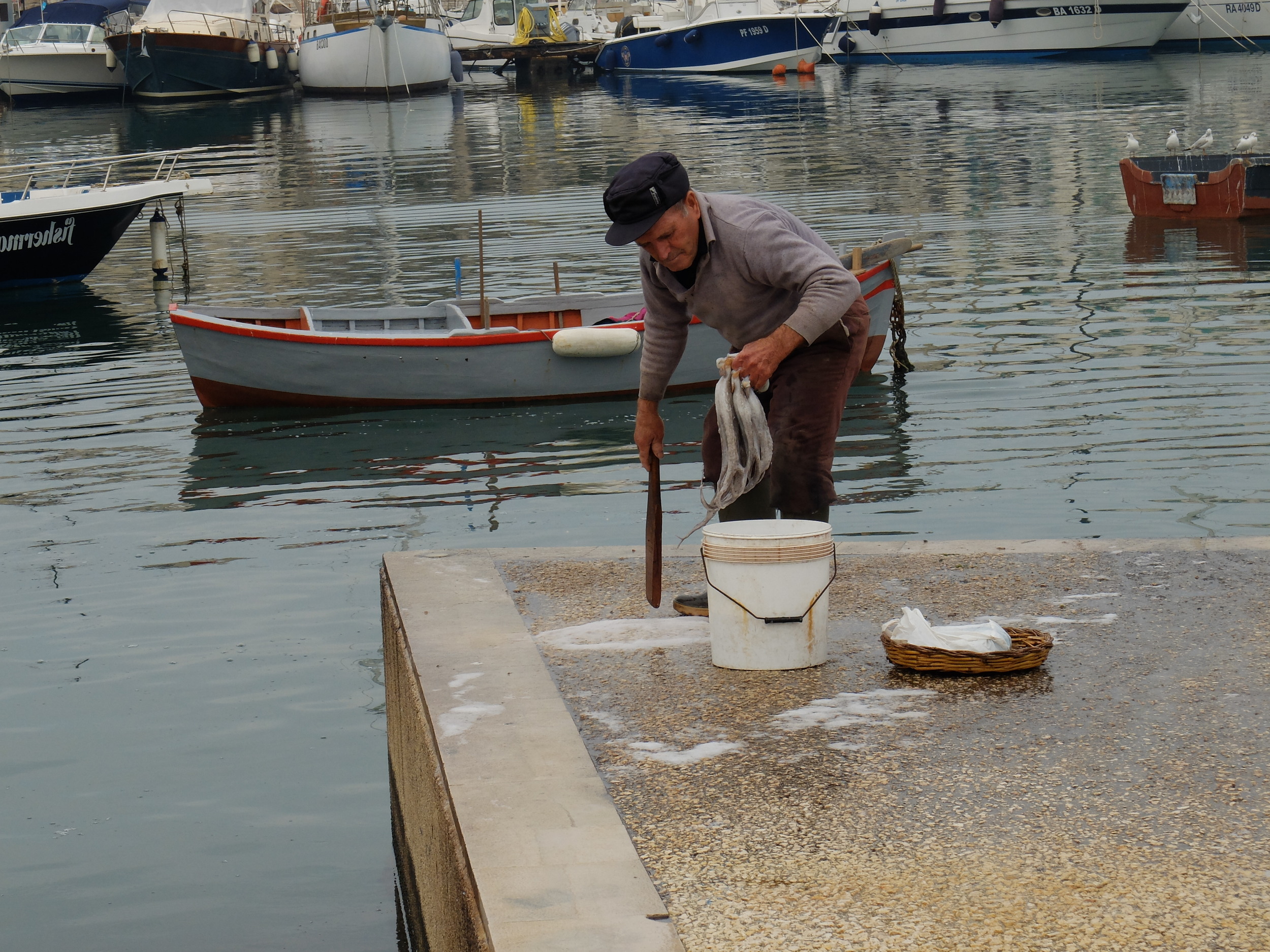 washing squid on the dock, Bari, Italy