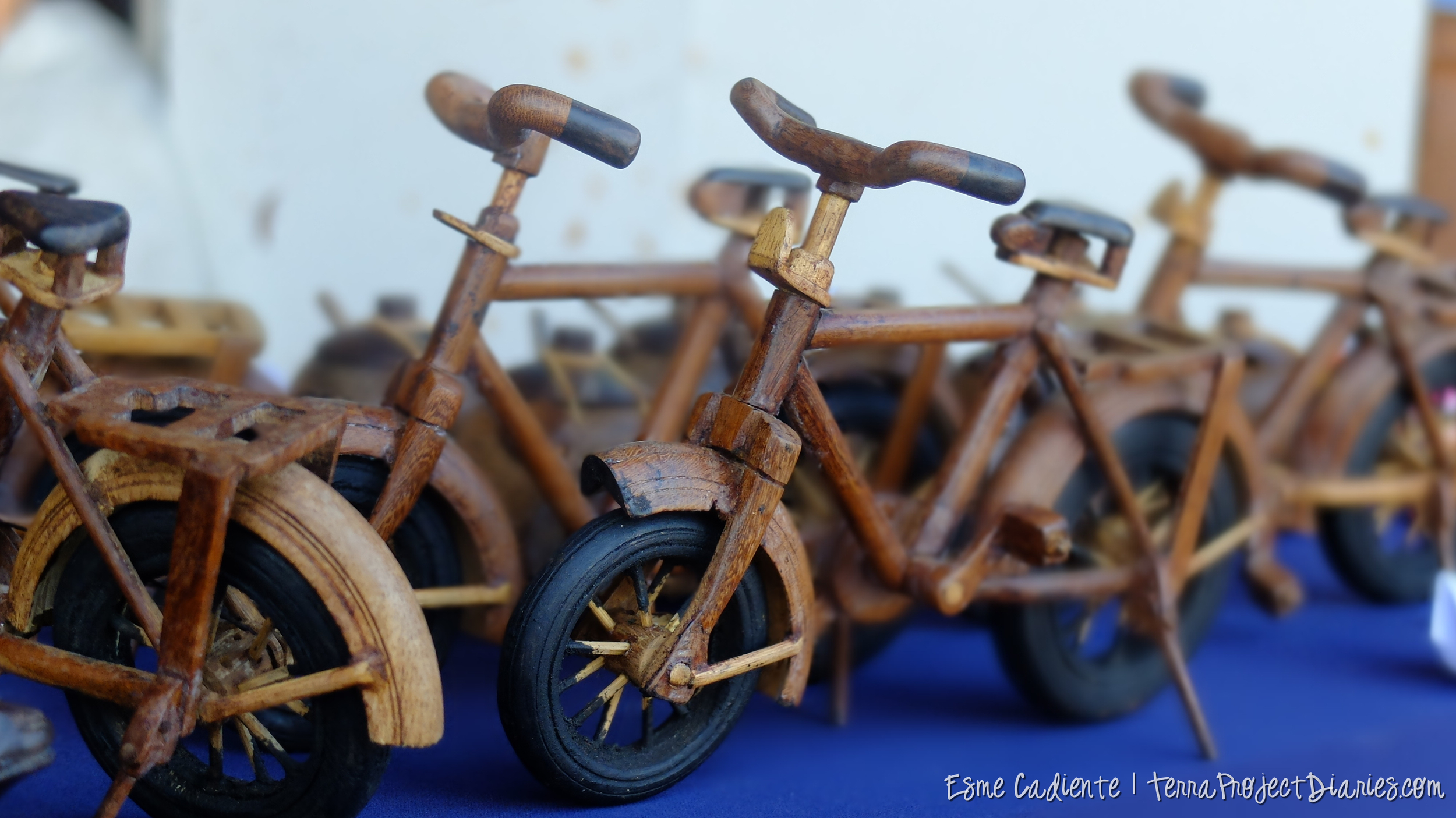Intricate bicycles made by a Sri Lankan man