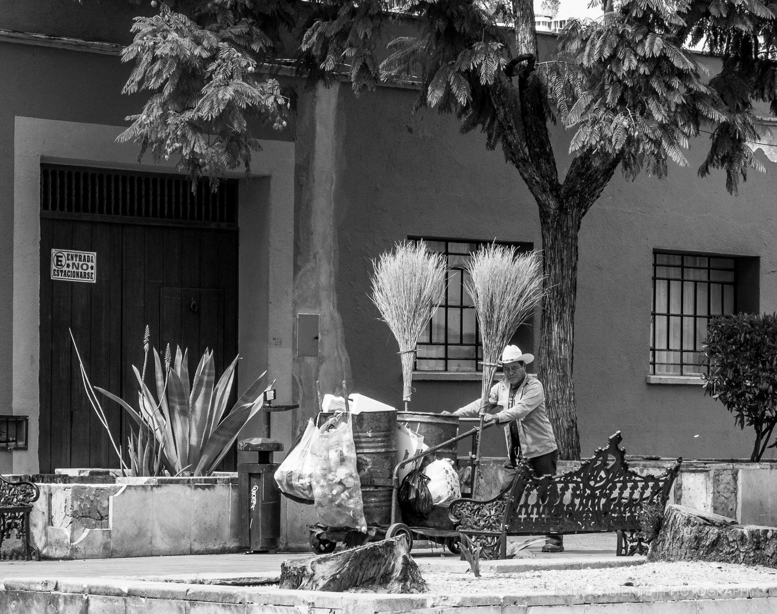 13Feb_Oaxaca1_340-2.jpg