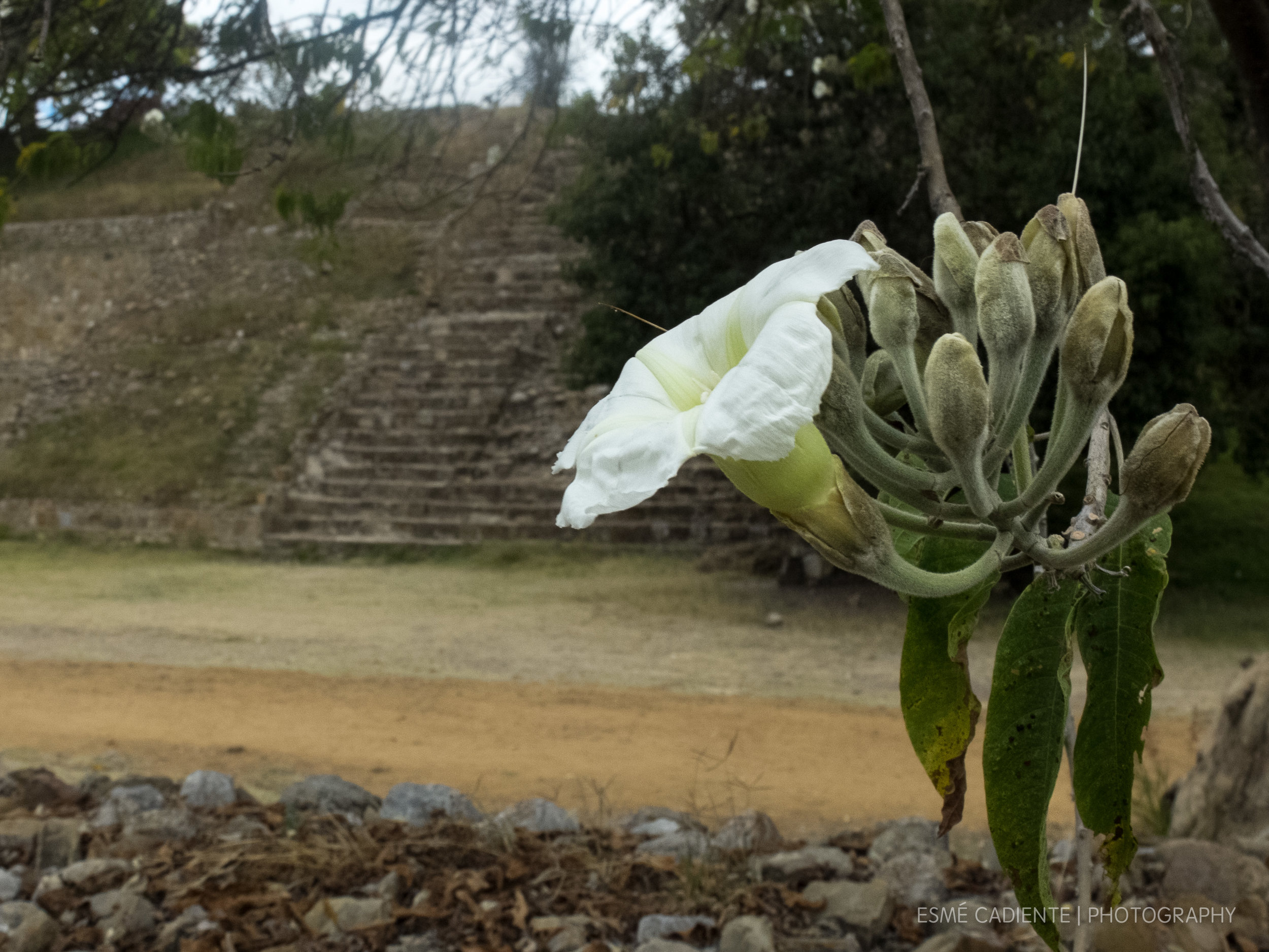 13Feb_Oaxaca1_120.jpg