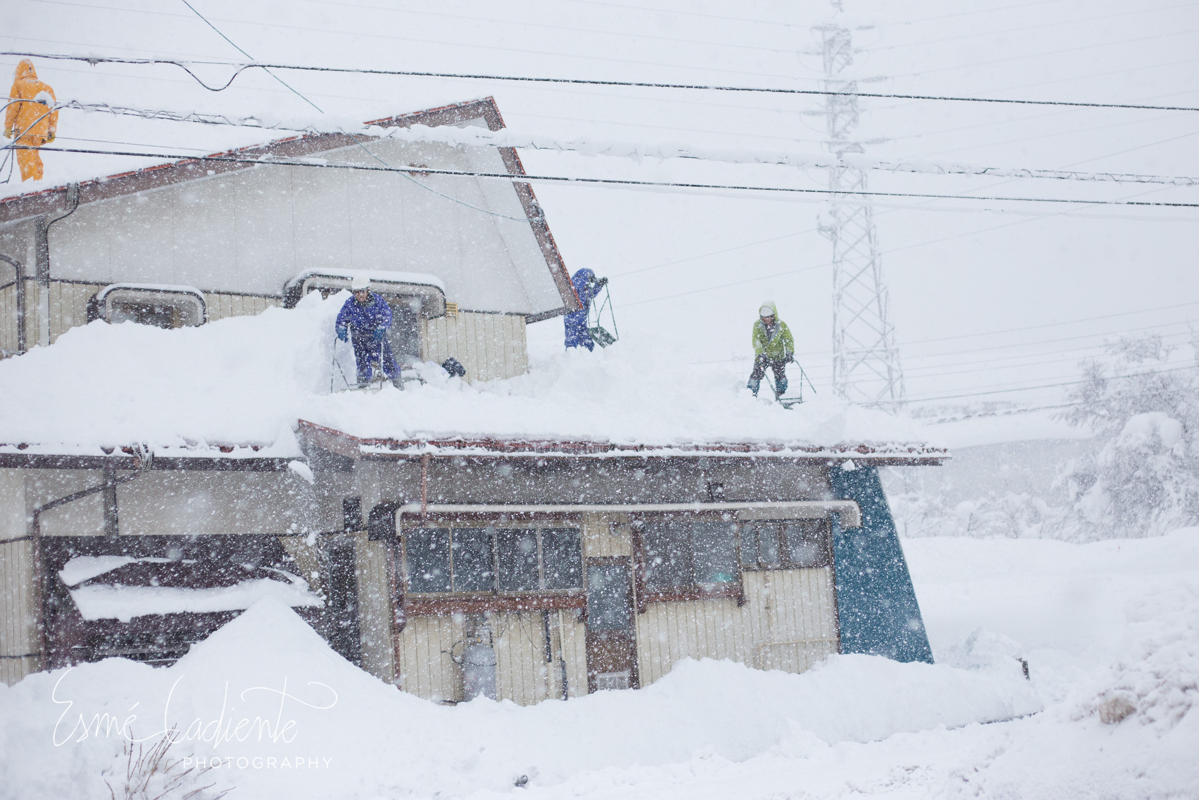 17Jan_Japan_165.jpg