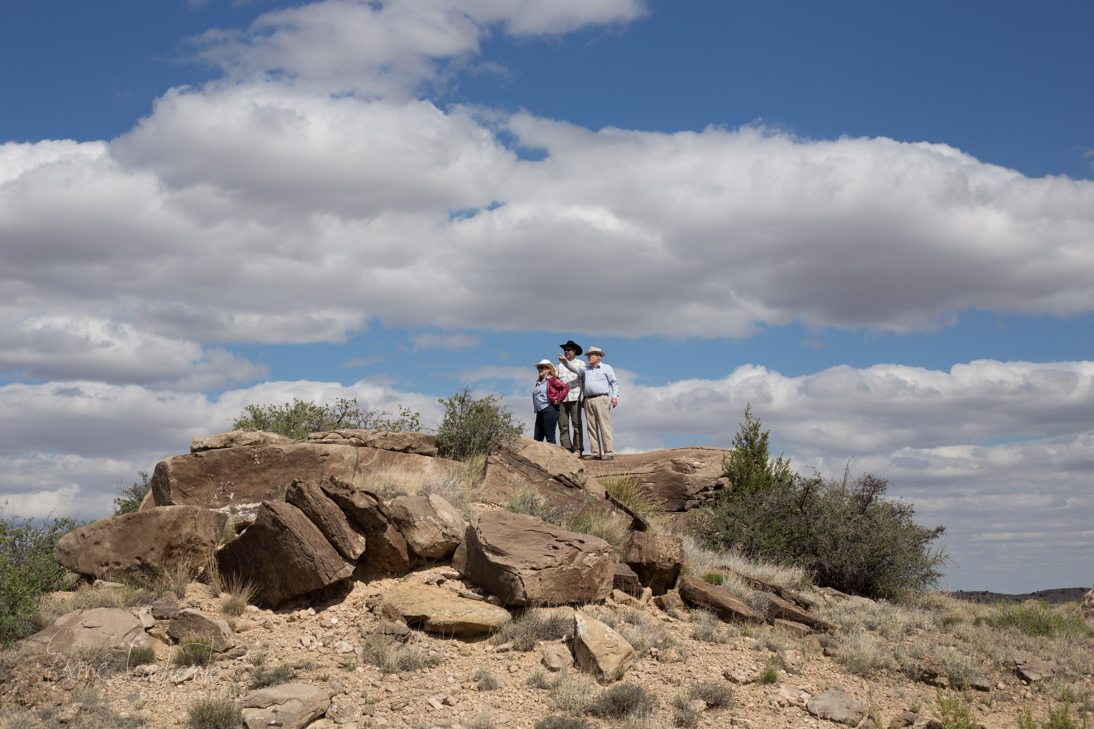 'Rattlesnake Rock' Rattlesnakes live here, so does the hare and the lizard and the crow. So does the beetle, coyote and the paintbrush and the yucca. So do we.