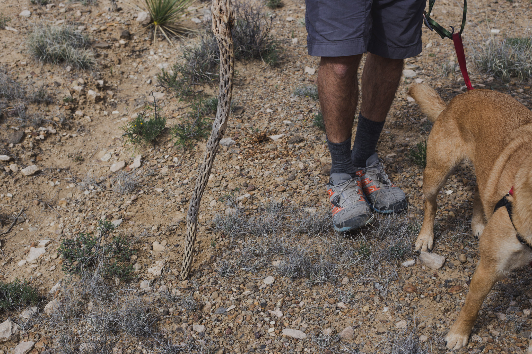 'The Rattlesnakes Can Smell you Coming' My husband grew up in Alaska. When we hike in his homeland we watch for bears. Here, we listen for rattlesnakes. This land is new to him, but seeing it through his eyes has made me understand and appreciate it more.