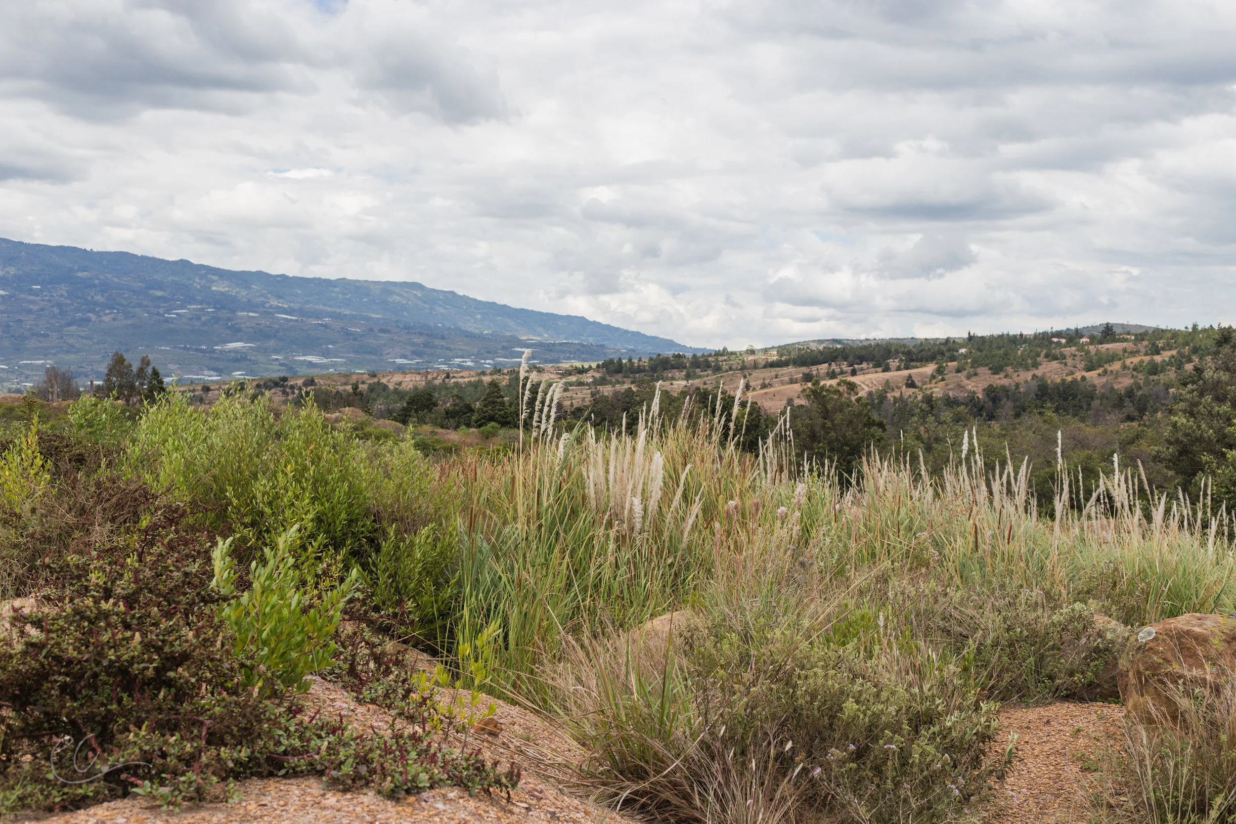 The deserty foothills of the Andes in between San Gil and Villa De Leyva