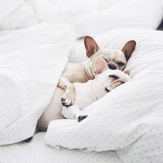 It&rsquo;s just cruel having to
get out of bed on Mondays
#mondaymood