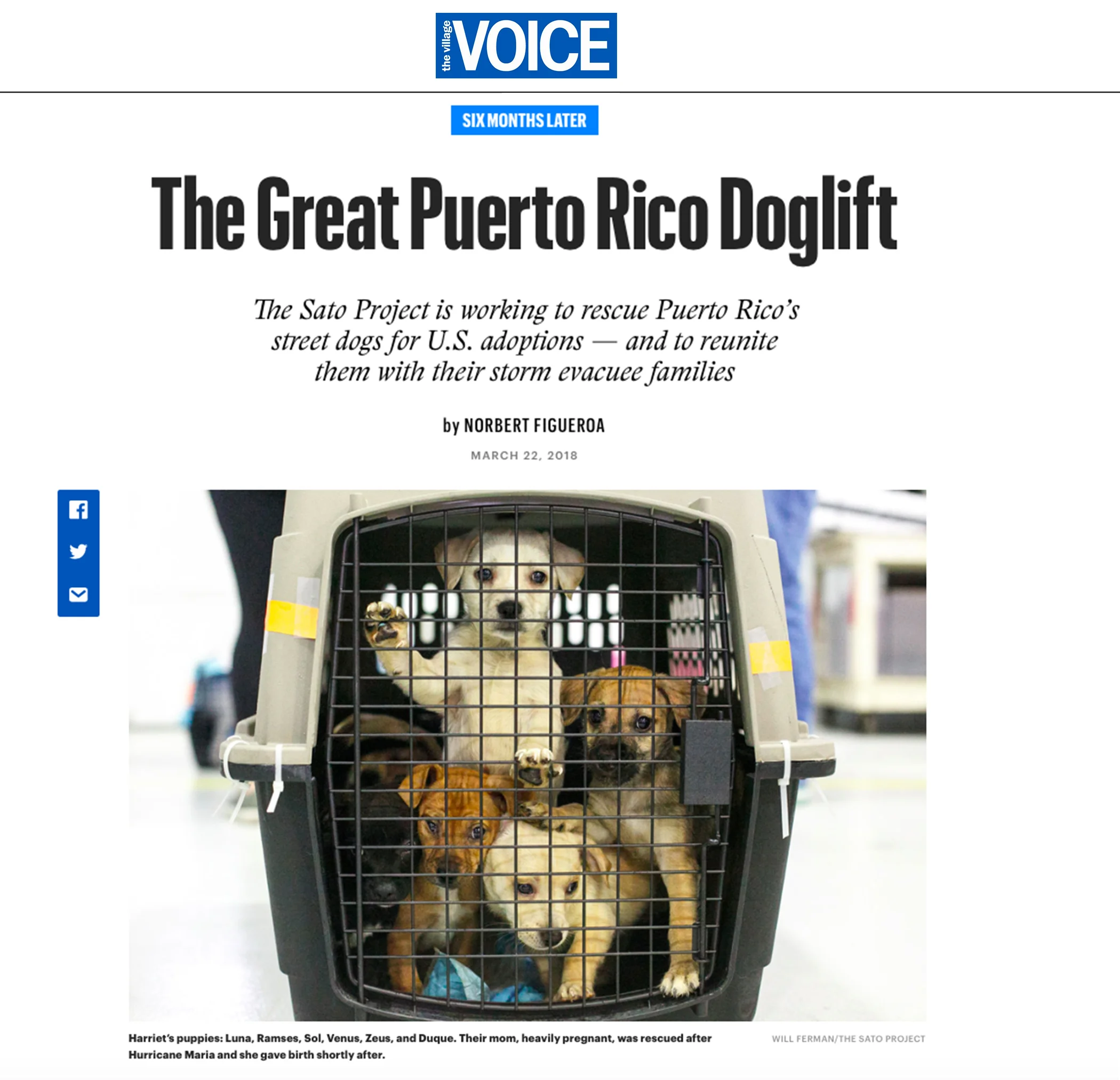 VillageVoice Top portion photo.jpg