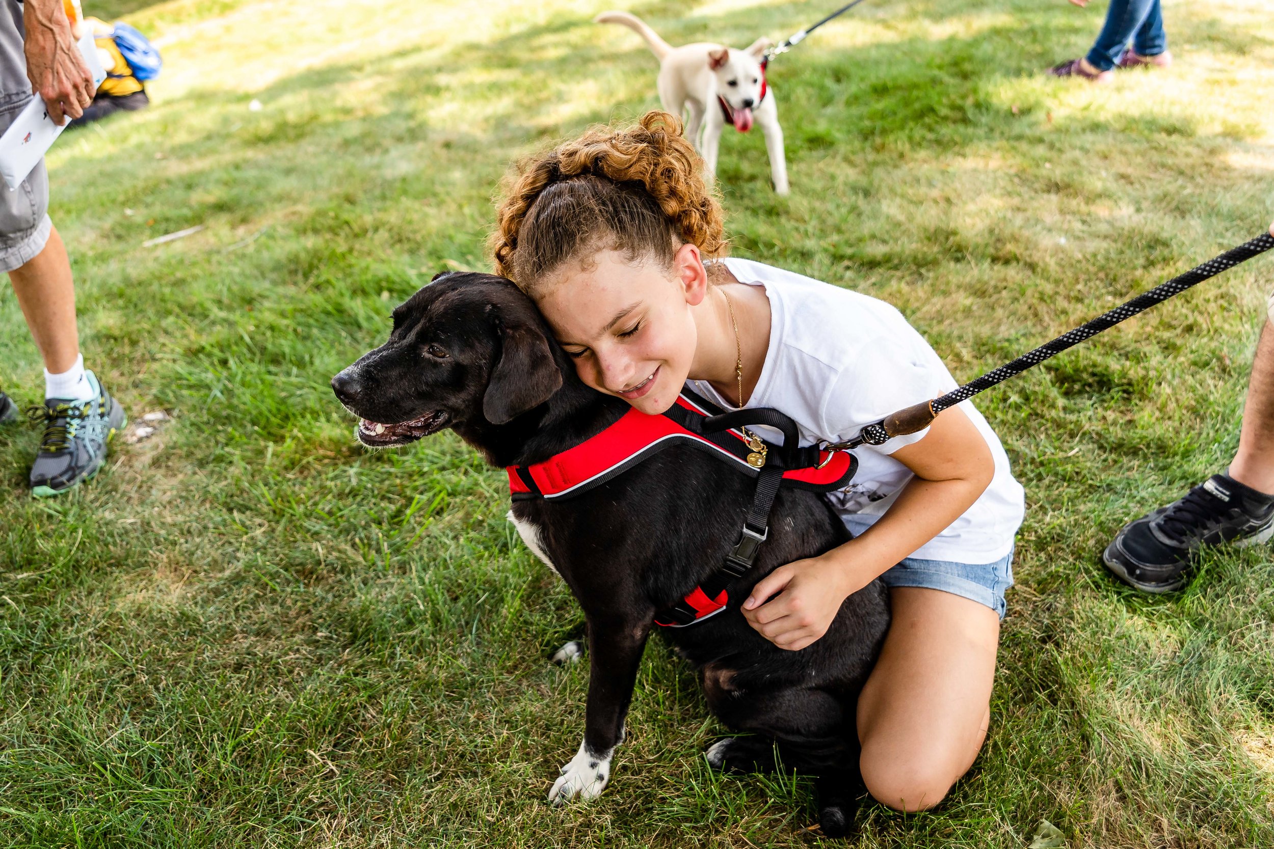 Photo by NYC Pet Photographer