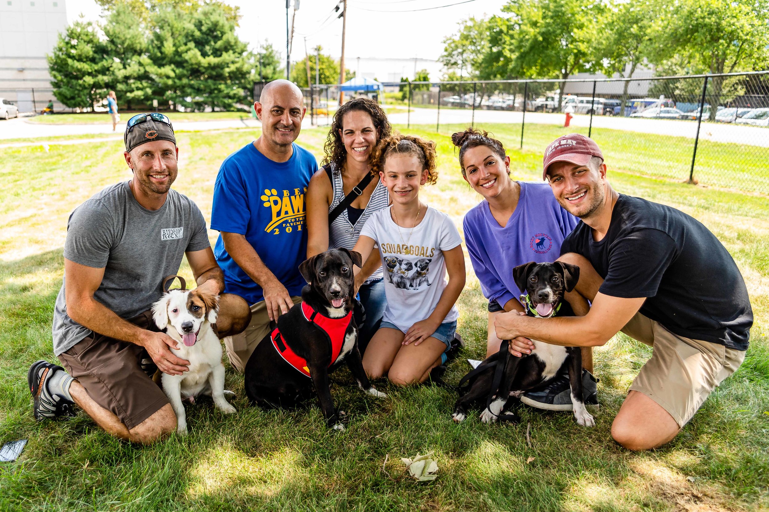 Photo by NYC Pet Photographer