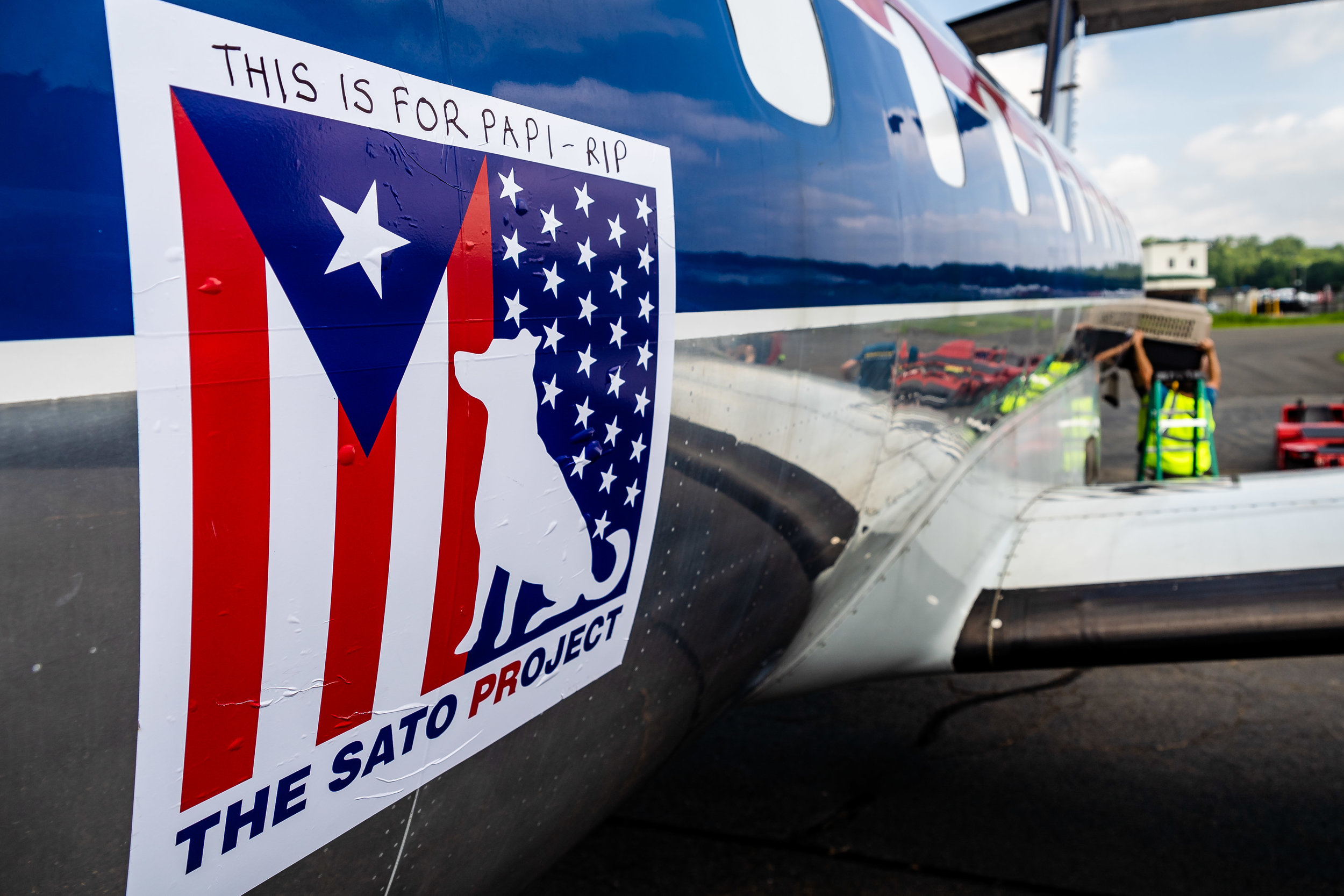 00269_SatoProject-MissionPossibleX_20190818_©NYCPetPhotographer.jpg