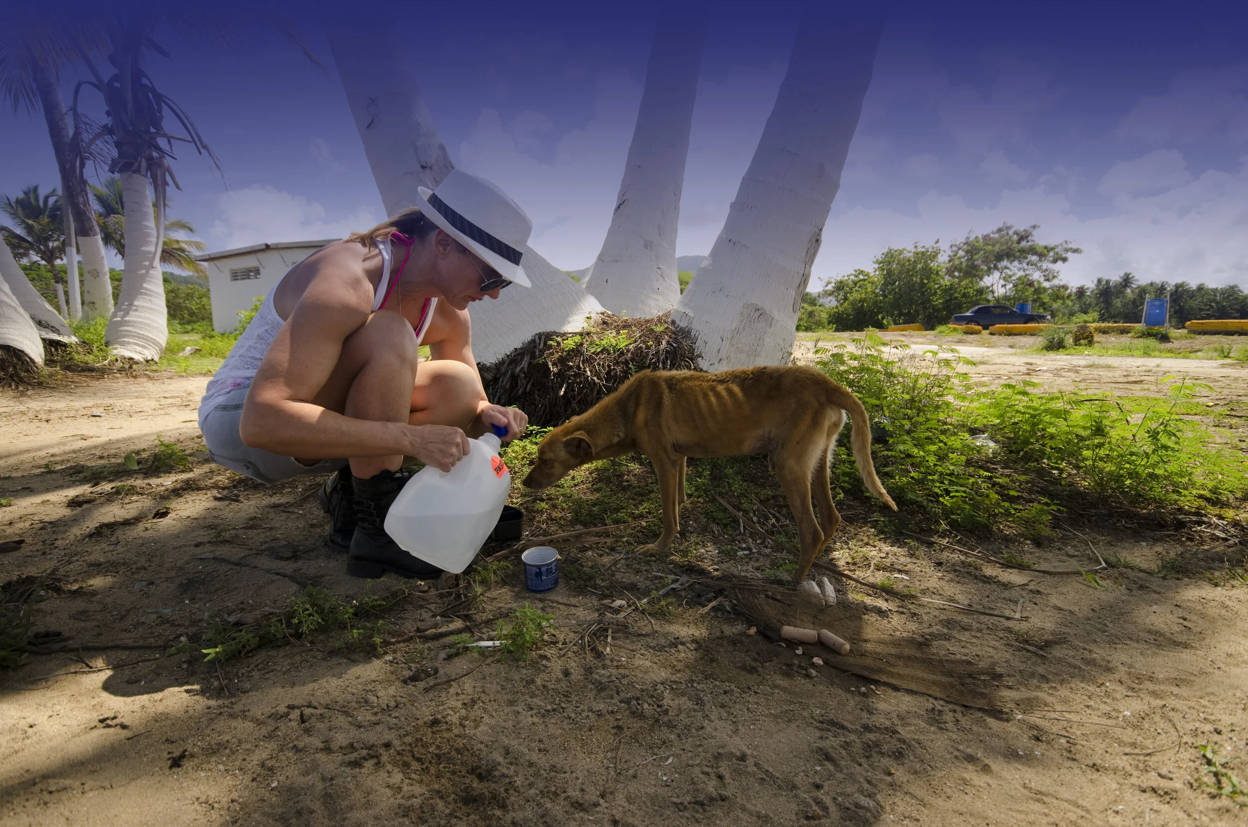 Website Banner Gradiant longer blue.jpg