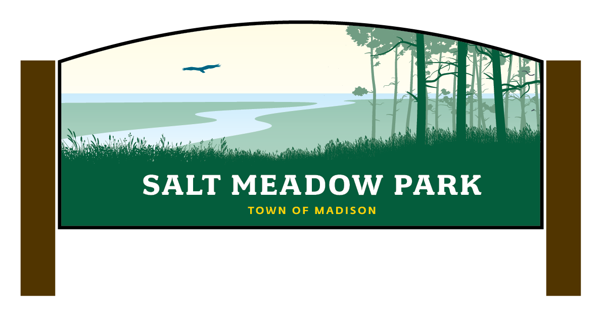 SaltMeadow.png