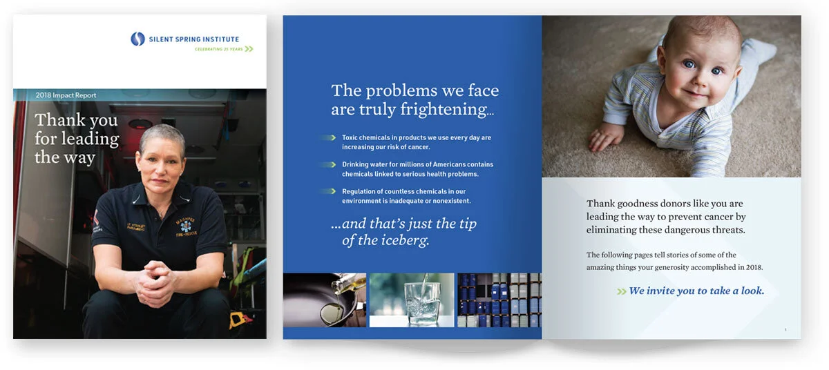 Silent Spring Institute Impact Report