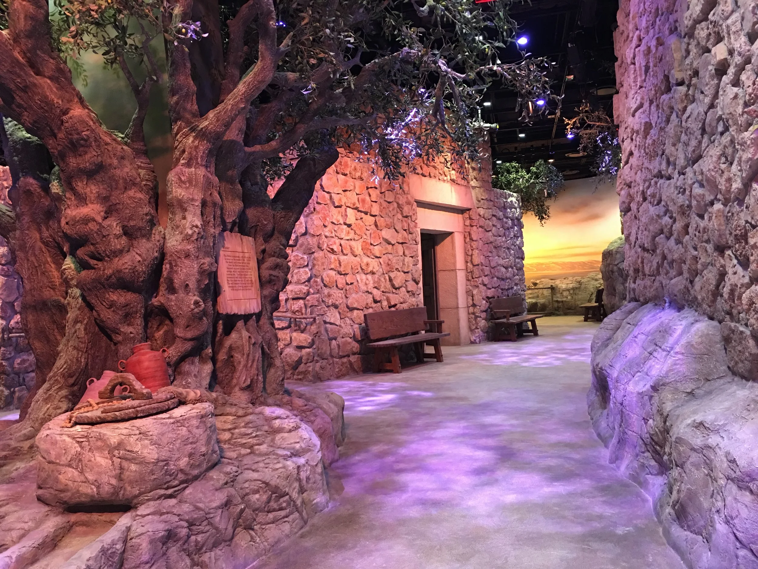 MOTB Screen IMG_4504.JPG