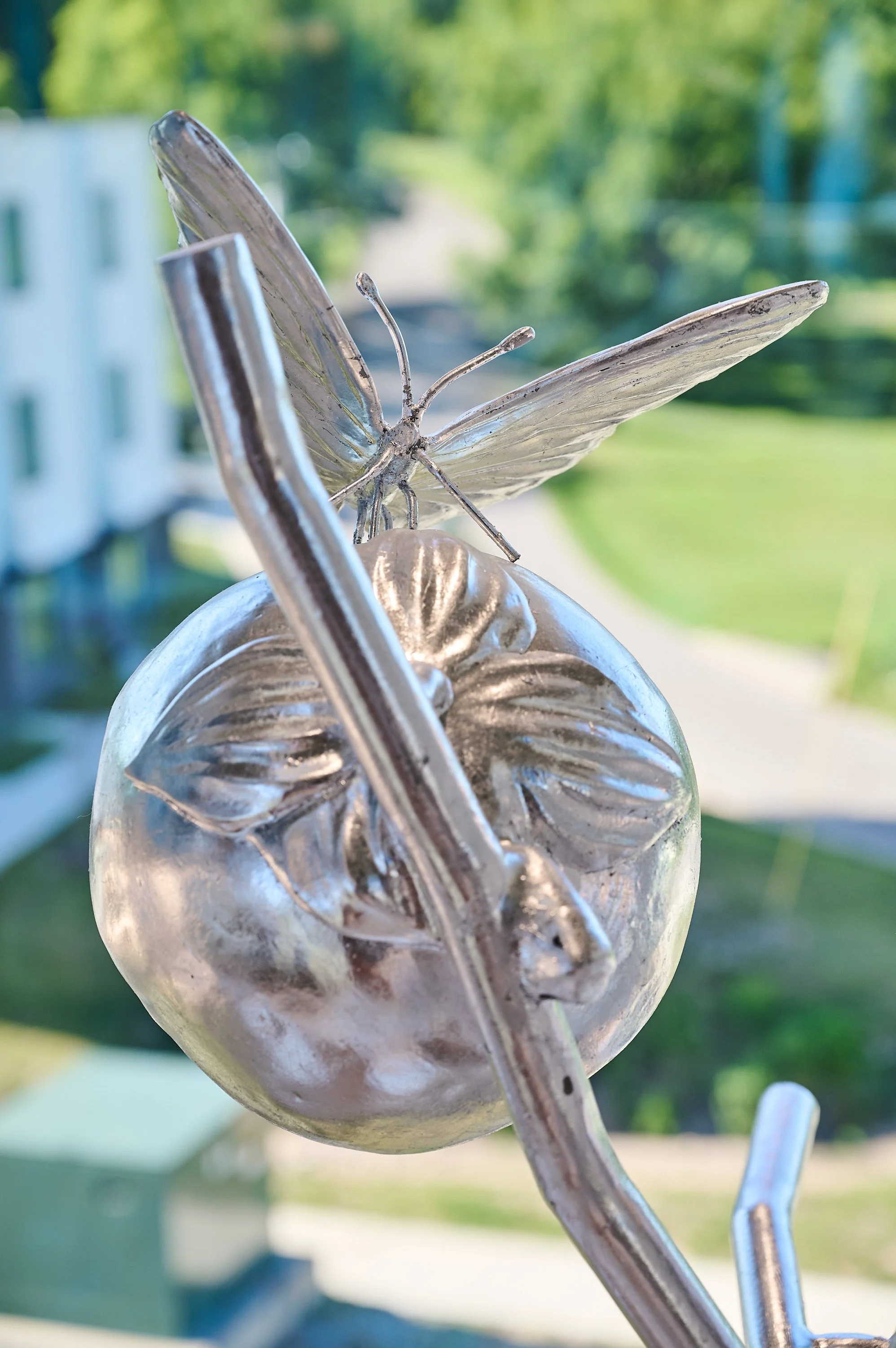 Amber_Lelli_Donelson-Lib_0211.jpg