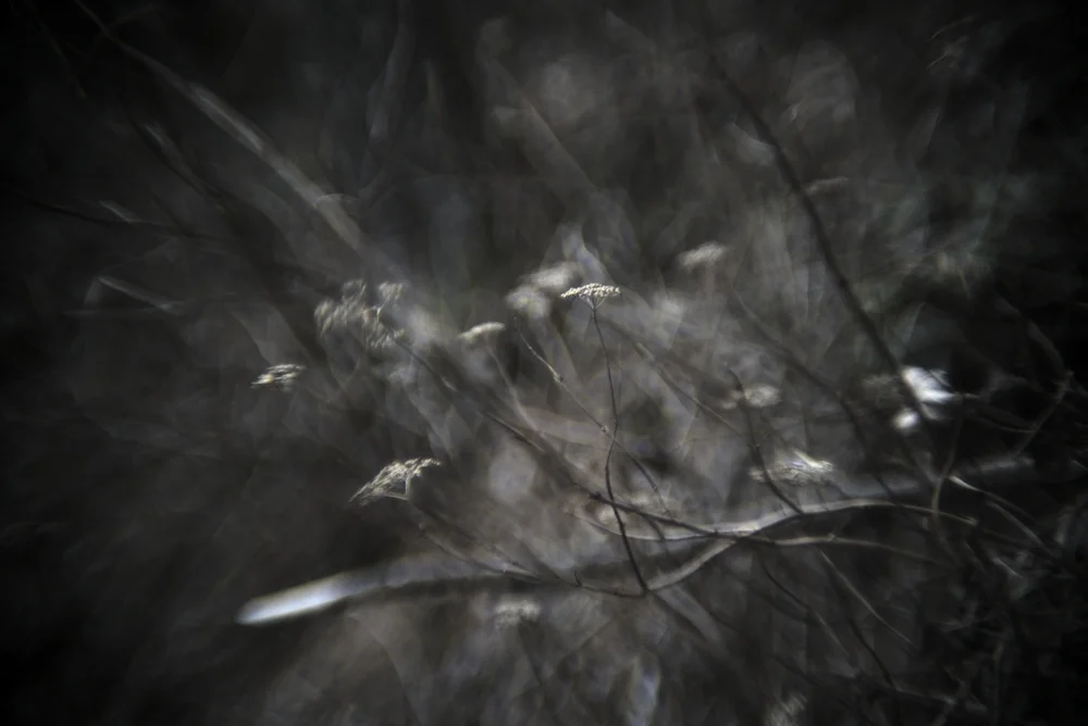 Sony A7s, Du Oude Delft