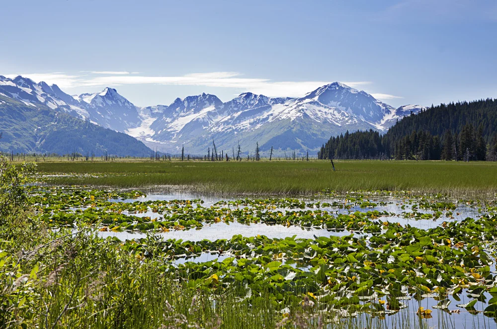 AK_2011_071.jpg