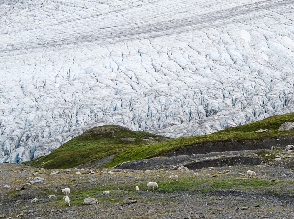 AK_2011_021.jpg